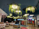 Event Cinema Innaloo - Custom Designed Hanging Greenery | ARTISTIC GREENERY