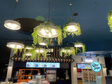 Event Cinema Innaloo - Custom Designed Hanging Greenery | ARTISTIC GREENERY