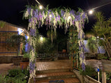 For Hire - Wisteria Arch "Bridgerton Style" for Home Wedding (Code: HI0042) Meg & Josh | ARTISTIC GREENERY