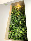 Home Interior Design - Made-to-order Vertical Garden for Wall Recess next to Stairs | ARTISTIC GREENERY