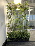 Edith Cowan University (ECU) Joondalup & Mt Lawley Campus - Artificial Climbing Plants for Planters / Potted Plants