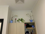 The Akidamy School of Early Learning (Perth) - Artificial Plants for Decoration