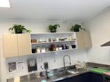 The Akidamy School of Early Learning (Perth) - Artificial Plants for Decoration