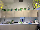 The Akidamy School of Early Learning (Perth) - Artificial Plants for Decoration