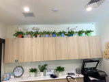 The Akidamy School of Early Learning (Perth) - Artificial Plants for Decoration