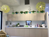 The Akidamy School of Early Learning (Perth) - Artificial Plants for Decoration