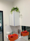 The Akidamy School of Early Learning (Perth) - Artificial Plants for Decoration