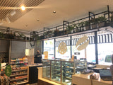 Caltex (Ascot) - Artificial Plants in Pots & Other Decorations for Overhead Planter