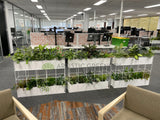 Metso Outotect (West Perth) - Artificial Plants for Freestanding & Built-in Planters Throughout the Office | ARTISTIC GREENERY