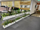 Metso Outotect (West Perth) - Artificial Plants for Freestanding & Built-in Planters Throughout the Office | ARTISTIC GREENERY