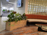 Metso Outotect (West Perth) - Artificial Plants for Freestanding & Built-in Planters Throughout the Office | ARTISTIC GREENERY