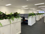 1 Tully Street EAST PERTH - Artificial Plants for Tambour Units & Throughout the Office | ARTISTIC GREENERY