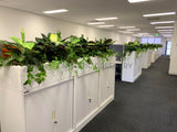 1 Tully Street EAST PERTH - Artificial Plants for Tambour Units & Throughout the Office | ARTISTIC GREENERY