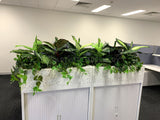 1 Tully Street EAST PERTH - Artificial Plants for Tambour Units & Throughout the Office | ARTISTIC GREENERY