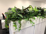 1 Tully Street EAST PERTH - Artificial Plants for Tambour Units & Throughout the Office | ARTISTIC GREENERY