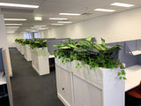 1 Tully Street EAST PERTH - Artificial Plants for Tambour Units & Throughout the Office | ARTISTIC GREENERY