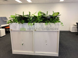 1 Tully Street EAST PERTH - Artificial Plants for Tambour Units & Throughout the Office | ARTISTIC GREENERY