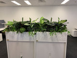 1 Tully Street EAST PERTH - Artificial Plants for Tambour Units & Throughout the Office | ARTISTIC GREENERY