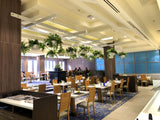 Montereys Brasserie (Pan Pacific Hotel Perth) - Mixed Artificial Plants for Hanging Baskets