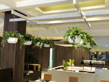 Montereys Brasserie (Pan Pacific Hotel Perth) - Mixed Artificial Plants for Hanging Baskets