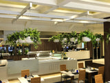 Montereys Brasserie (Pan Pacific Hotel Perth) - Mixed Artificial Plants for Hanging Baskets