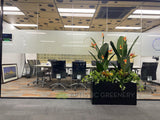 Metso Outotect (West Perth) - Artificial Plants and Trees Throughout the Office | ARTISTIC GREENERY