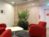 Metso Outotect (West Perth) - Artificial Plants and Trees Throughout the Office | ARTISTIC GREENERY