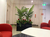 Metso Outotect (West Perth) - Artificial Plants and Trees Throughout the Office | ARTISTIC GREENERY