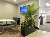 Metso Outotect (West Perth) - Artificial Plants and Trees Throughout the Office | ARTISTIC GREENERY