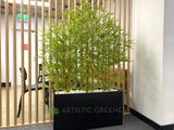 Metso Outotect (West Perth) - Artificial Plants and Trees Throughout the Office | ARTISTIC GREENERY