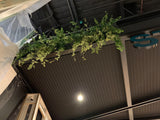 Stay Healthy (Belmont Forum) - Artificial Plants for Retail Display Commercial Fitout WA Perth | ARTISTIC GREENERY