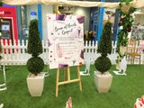 Westfield Innaloo Shopping Centre - Artificial Plant Hire for Event