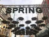 City of Perth Spring Festival 2017 - Hanging Floral Wreaths, Floral Letters, Garlands