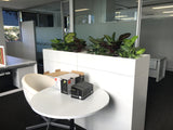 Coterra Environment - Dumb Canes for Tambour Units