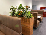 Edith Cowan University (ECU) Joondalup - Building 19 Lobby area- Artificial Plants for Built-in Cabinets / Planters | ARTISTIC GREENERY