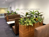 Edith Cowan University (ECU) Joondalup - Building 19 Lobby area- Artificial Plants for Built-in Cabinets / Planters | ARTISTIC GREENERY