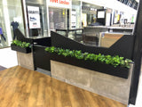 Caffissimo Cafe Rockingham - Small Greenery for Built-in Planters