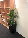 Increva (Mt Pleasant) - Artificial Plants for Office