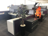 BOC Canning Vale - Floral Arrangements & Artificial Plants in Pots