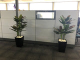 BOC Canning Vale - Floral Arrangements & Artificial Plants in Pots