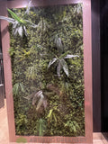 Shen's Massage Joondalup - Greenery Wall & Hanging Greenery for Built-in Planters