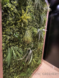 Shen's Massage Joondalup - Greenery Wall & Hanging Greenery for Built-in Planters