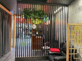 Shen's Massage Joondalup - Greenery Wall & Hanging Greenery for Built-in Planters