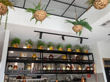 Port City Roasters (South Fremantle) - Artificial Plants for Display Shelves & Hanging Baskets with Plants