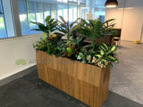 Edith Cowan University (ECU) Library - Artificial Plants for Built-in Cabinets / Planters | ARTISTIC GREENERY