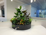 Edith Cowan University (ECU) Library - Artificial Plants for Built-in Cabinets / Planters | ARTISTIC GREENERY