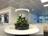 Edith Cowan University (ECU) Library - Artificial Plants for Built-in Cabinets / Planters | ARTISTIC GREENERY