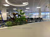 Edith Cowan University (ECU) Library - Artificial Plants for Built-in Cabinets / Planters | ARTISTIC GREENERY