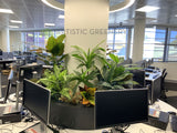 Edith Cowan University (ECU) Library - Artificial Plants for Built-in Cabinets / Planters | ARTISTIC GREENERY