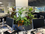 Edith Cowan University (ECU) Library - Artificial Plants for Built-in Cabinets / Planters | ARTISTIC GREENERY